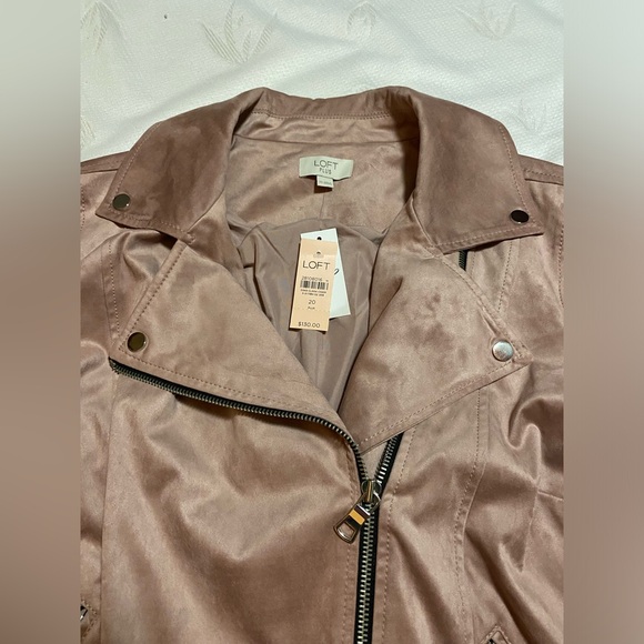 Loft Moto Jacket - Picture 8 of 14